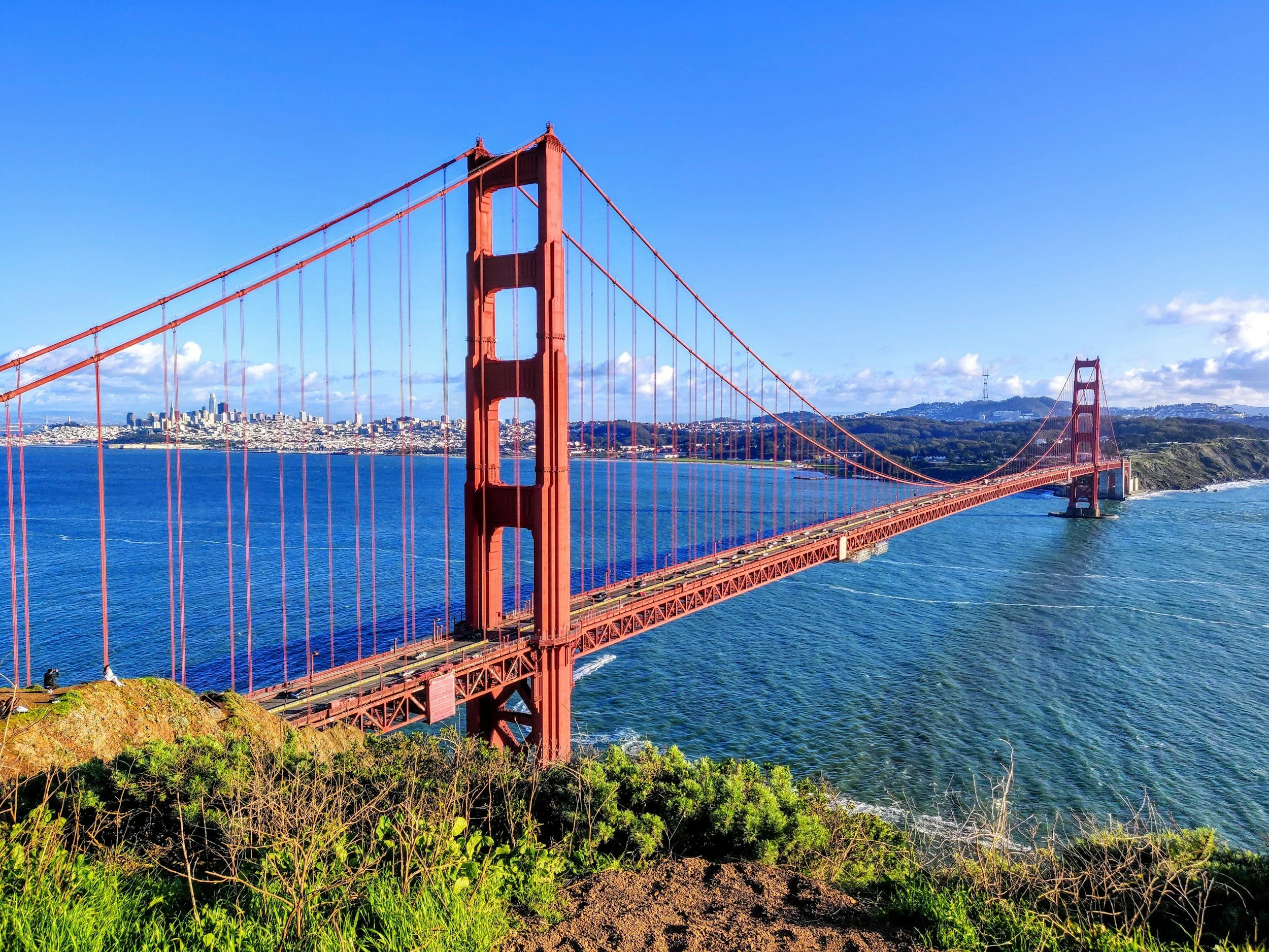 Golden Gate Bridge in San Francisco seen from the foreground with green plants and rocky terrain, city skyline in the background under a clear blue sky.