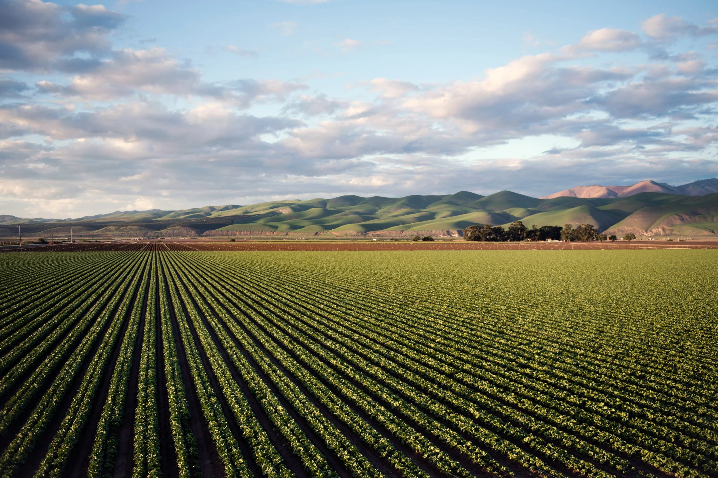 Agriculture