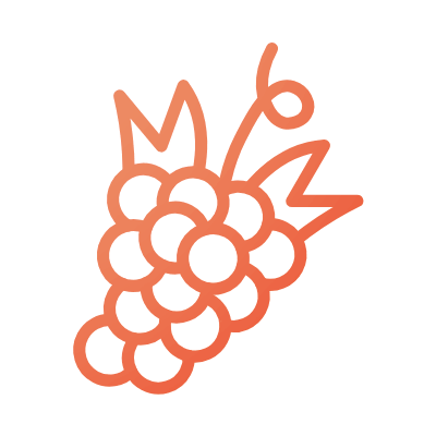 Line drawing of a bunch of grapes with a leaf and a small stem.
