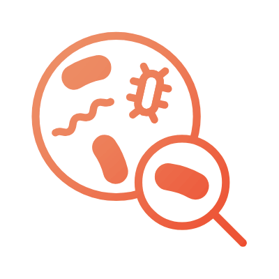 Illustration of bacteria and microorganisms with a magnifying glass.