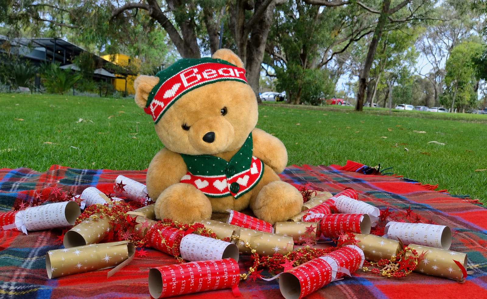Teddy bear in Christmas crackers