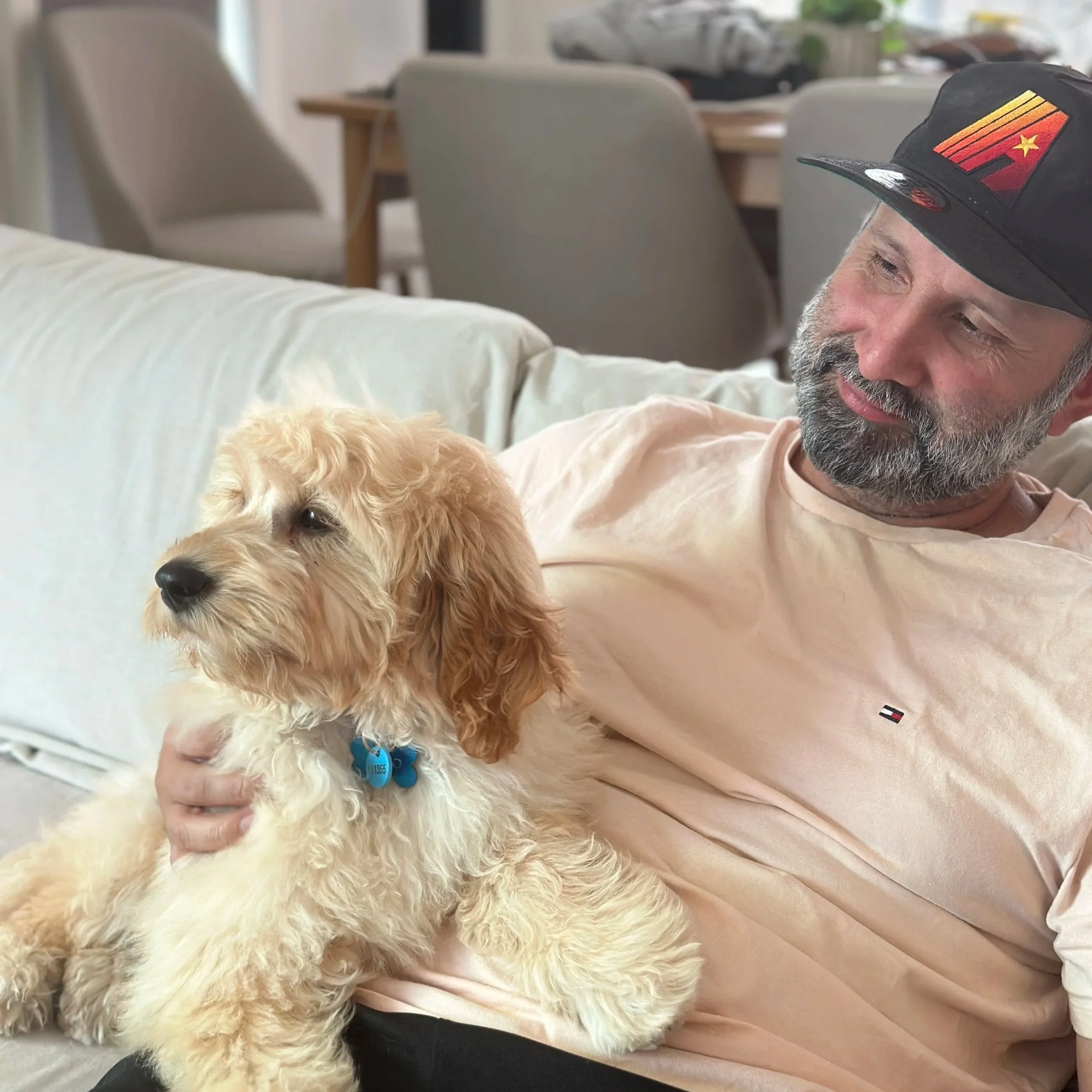 A man with a gray beard wearing a black cap with a colorful logo on it is holding a small, fluffy, light-colored dog. The man is smiling and looking at the dog, which has its eyes closed. The background shows a dining area with chairs and a table.
