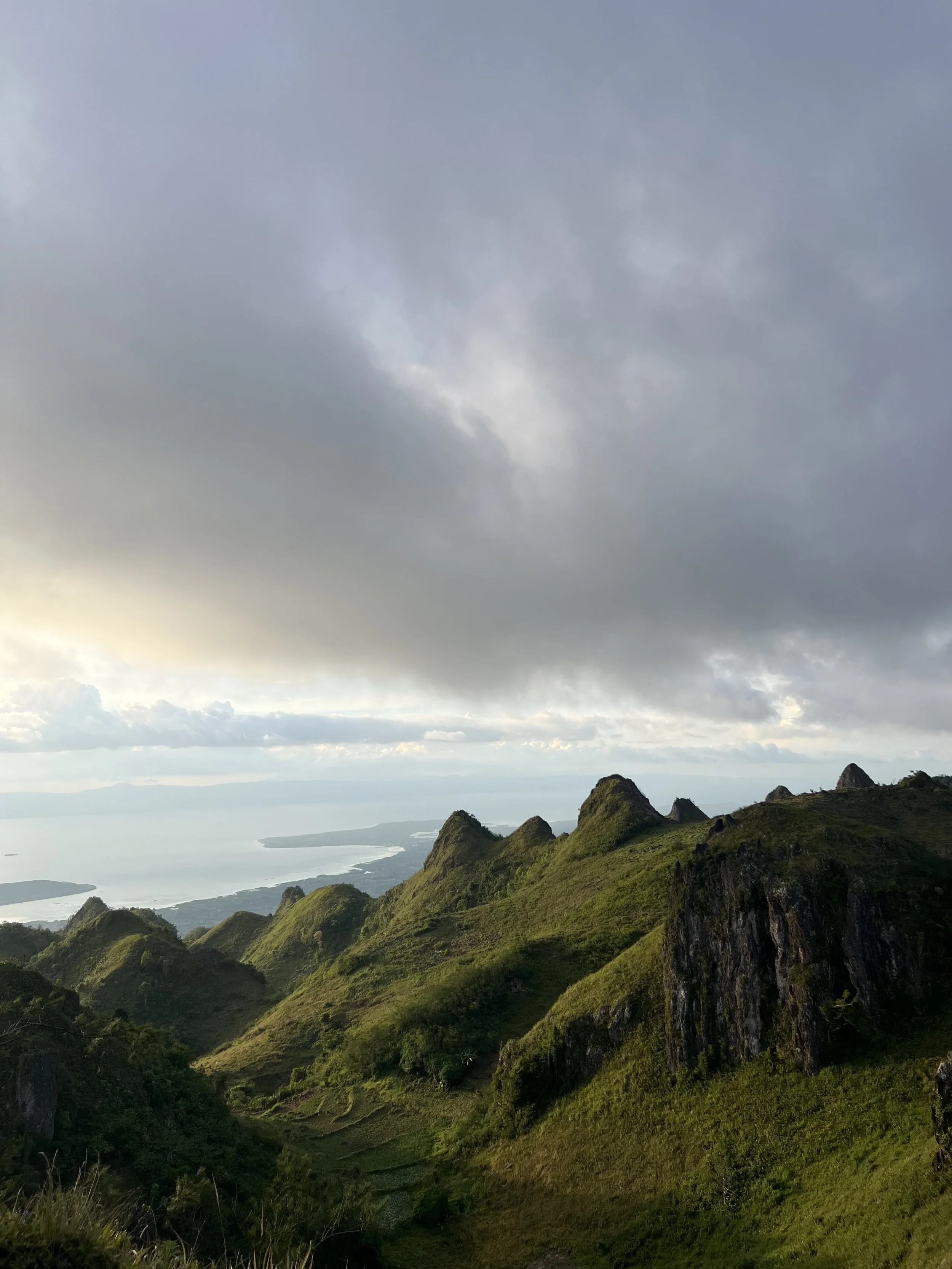 Freedom Through Absorption