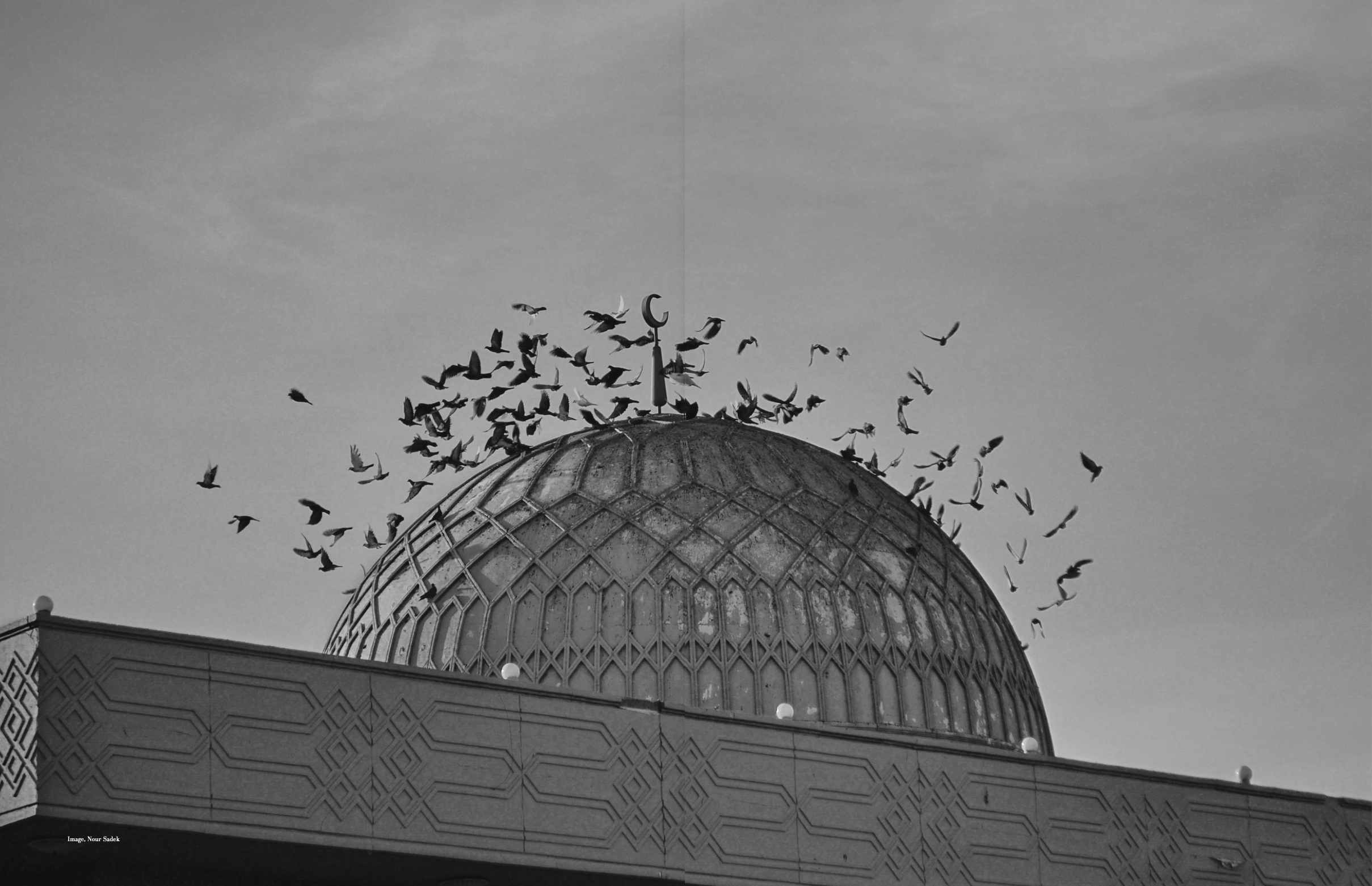 Screenshot 2026-04-21 at 10.26.31 AM.png