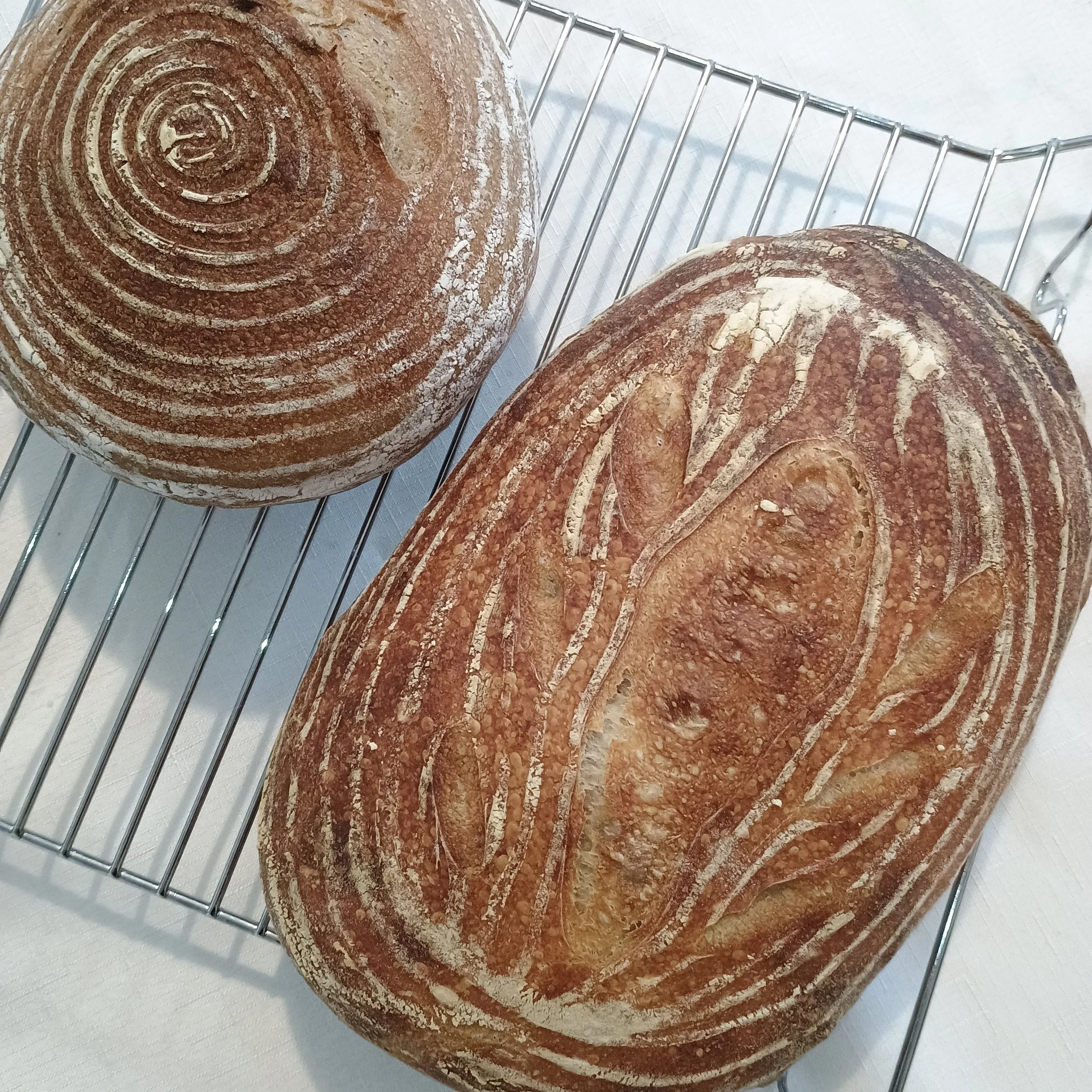 Sourdough 101  •  Date to be confirmed