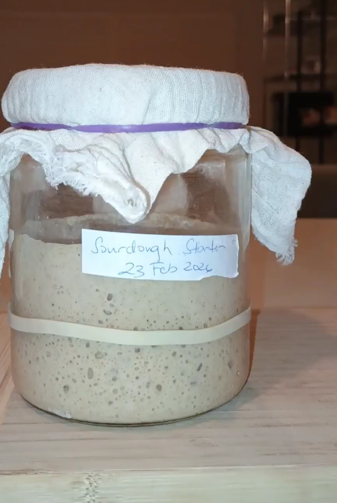 ACTIVE SOURDOUGH STARTER - 100 GRAMS
