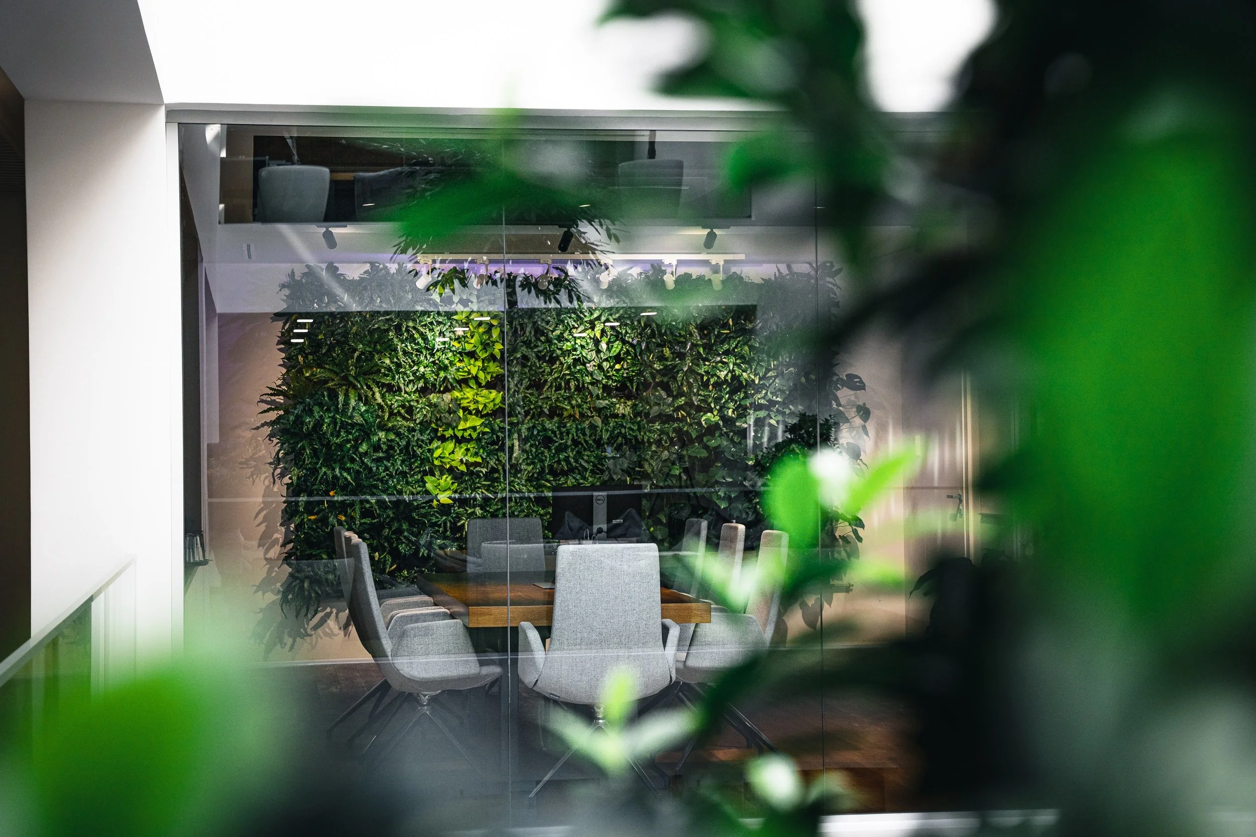Green wall plant Botanical interior design concept for a meeting room commercial space