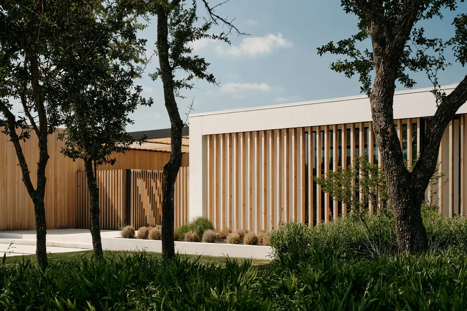 Modern building with vertical wooden slats, surrounded by green plants and trees under a blue sky.