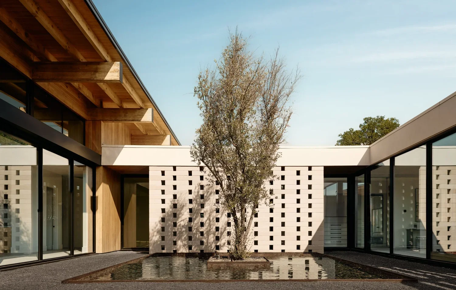 Modern building with glass walls and wooden accents, featuring a courtyard with a central tree surrounded by a shallow reflective water feature.