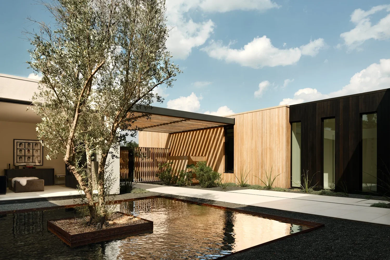 Modern outdoor courtyard with a tree in a raised planter, water feature, and contemporary building with wooden and black paneling.