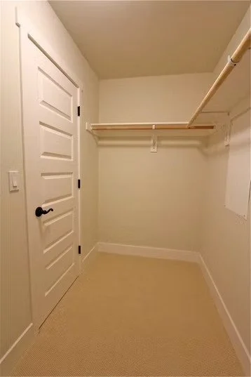 Empty walk-in closet with white walls, beige carpet, white door, and wooden closet rods with shelves.