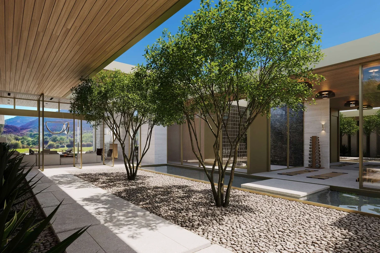 California_Desert_Luxury_Modern_Architecture_Mid_century_02.webp