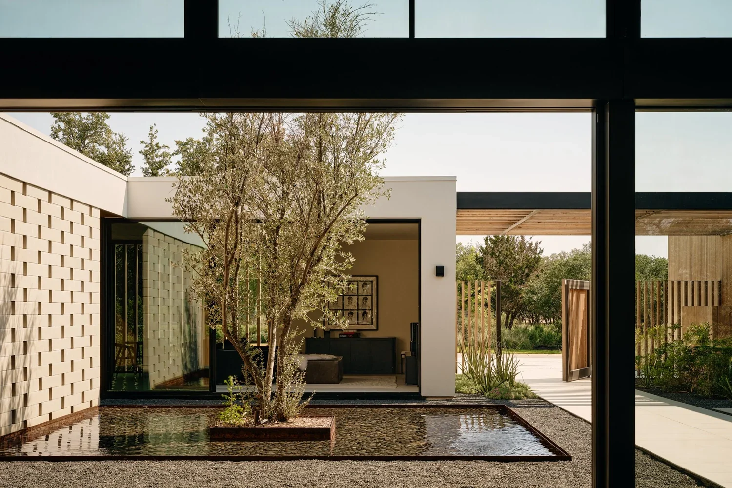 Modern house patio with a tree surrounded by a small water feature, glass sliding doors, and wooden fencing.