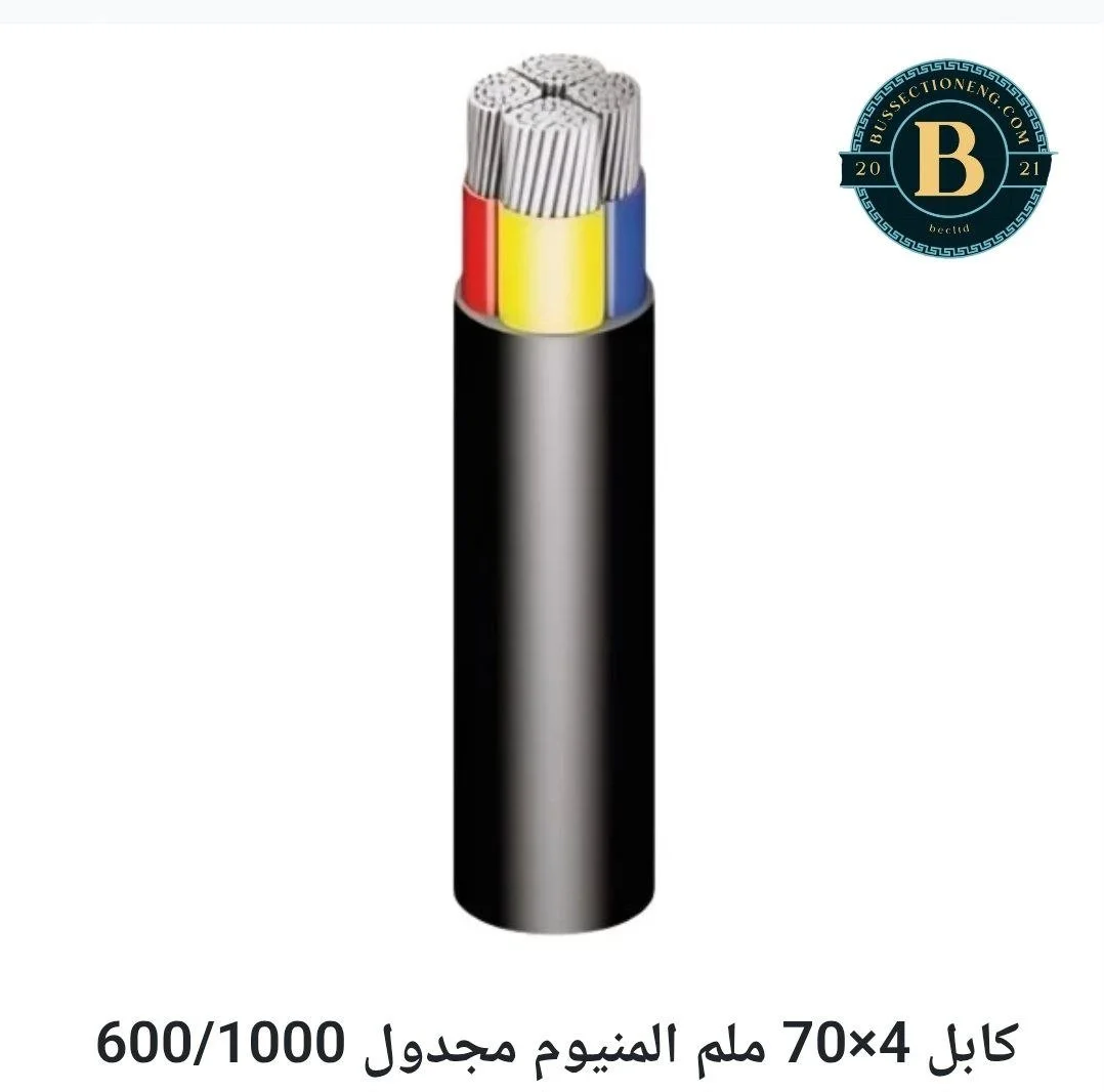 4x70 ALXLPEPVCSWAPVC.jpg