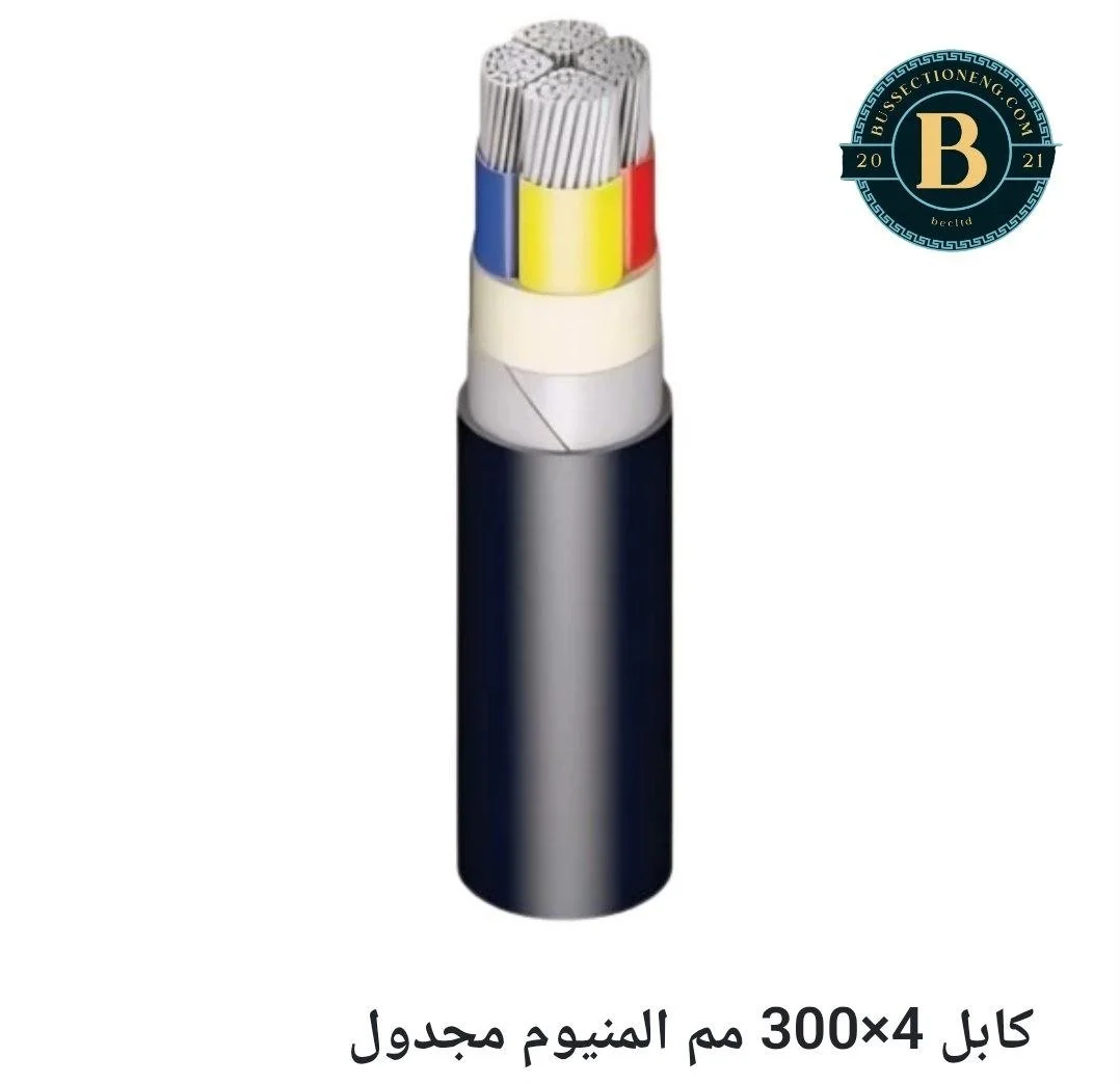 4x300 ALXLPEPVCSWAPVC.jpg