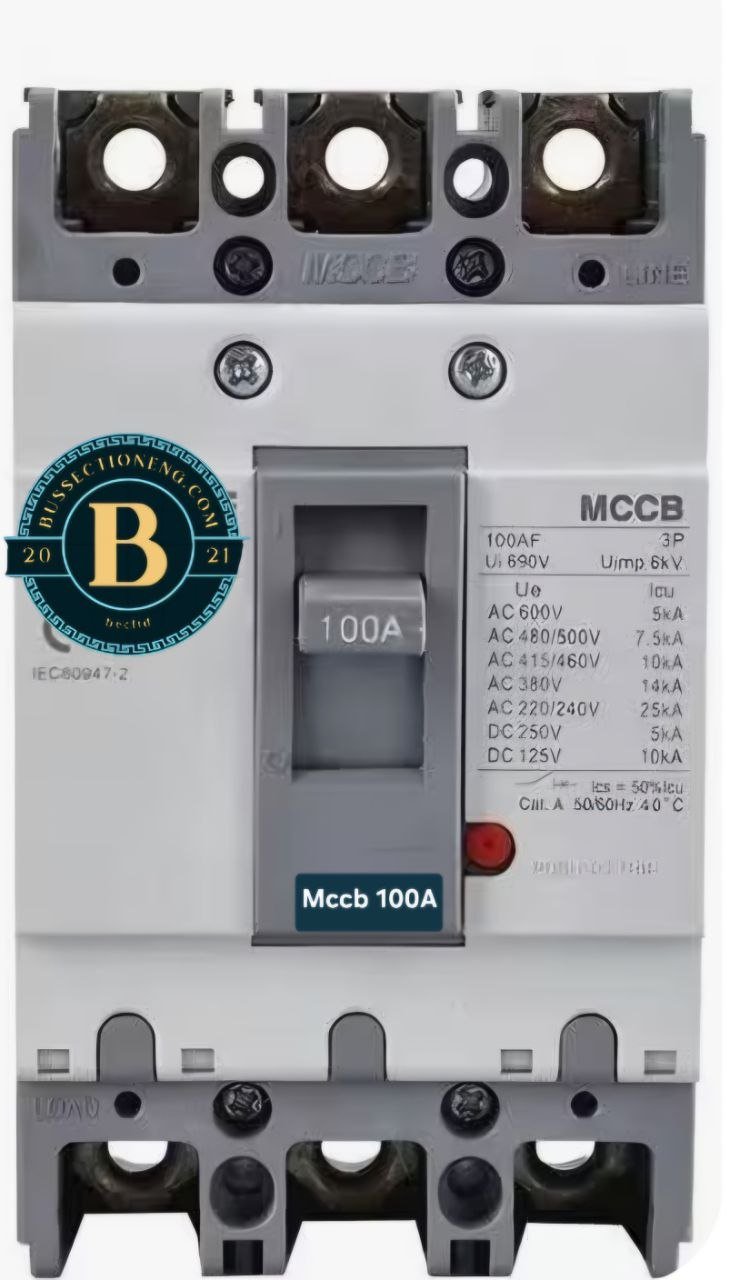 Mccb breaker 100A.jpg