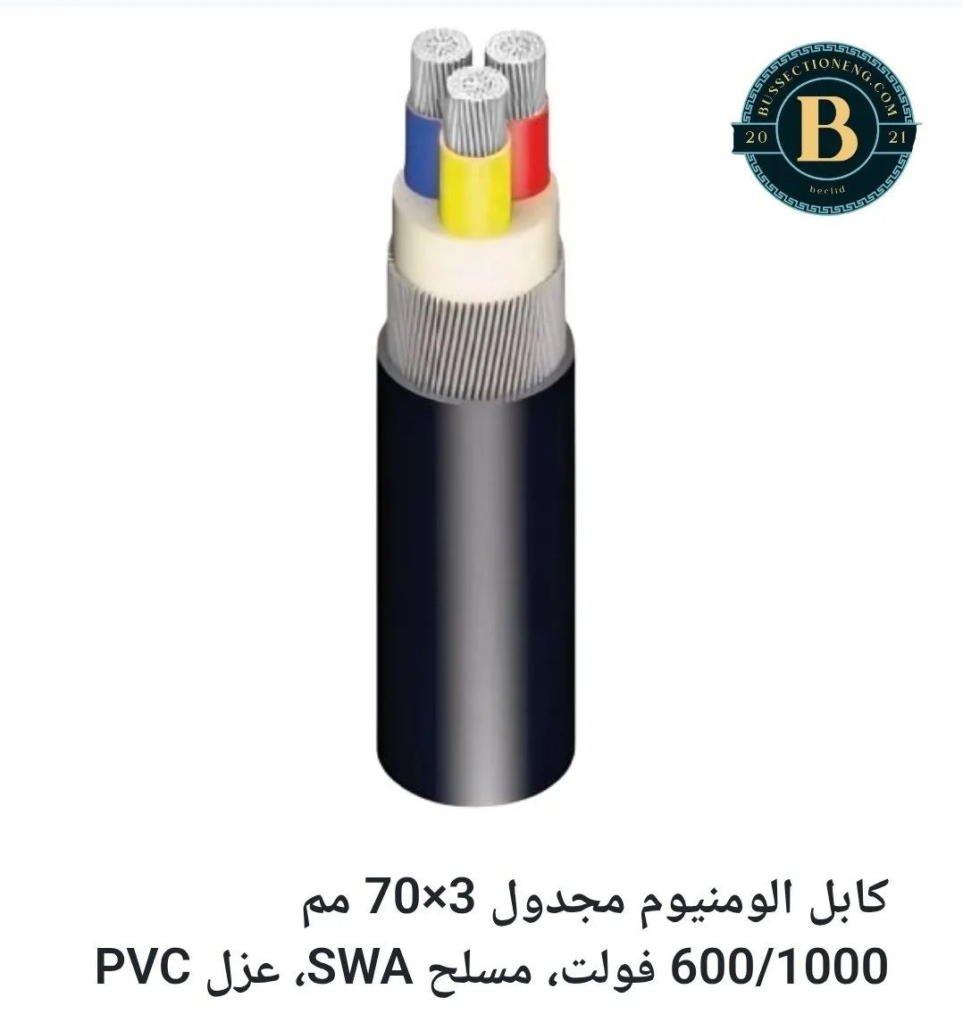 3x70 ALXLPEPVCSWAPVC.jpg