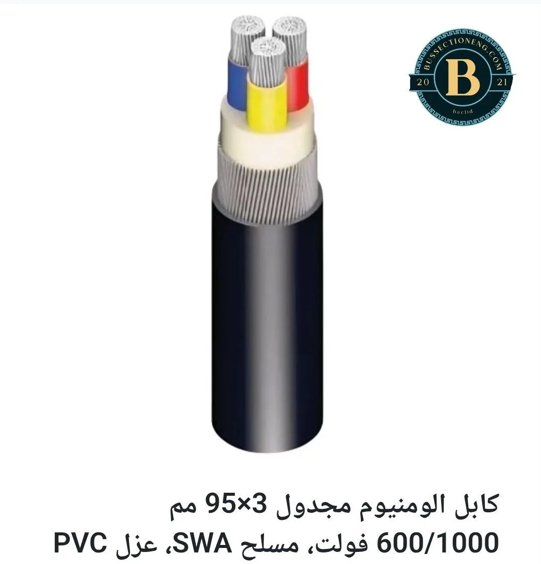 3x95 ALXLPEPVCSWAPVC.jpg