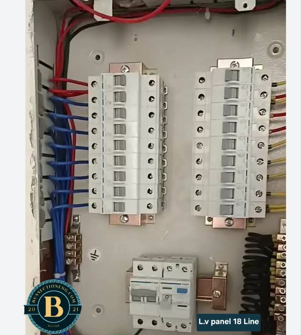 L.v panel 18 Line.jpg