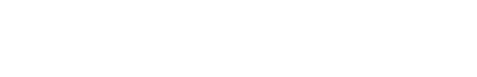 DENZEL logo valkoinen ja musta