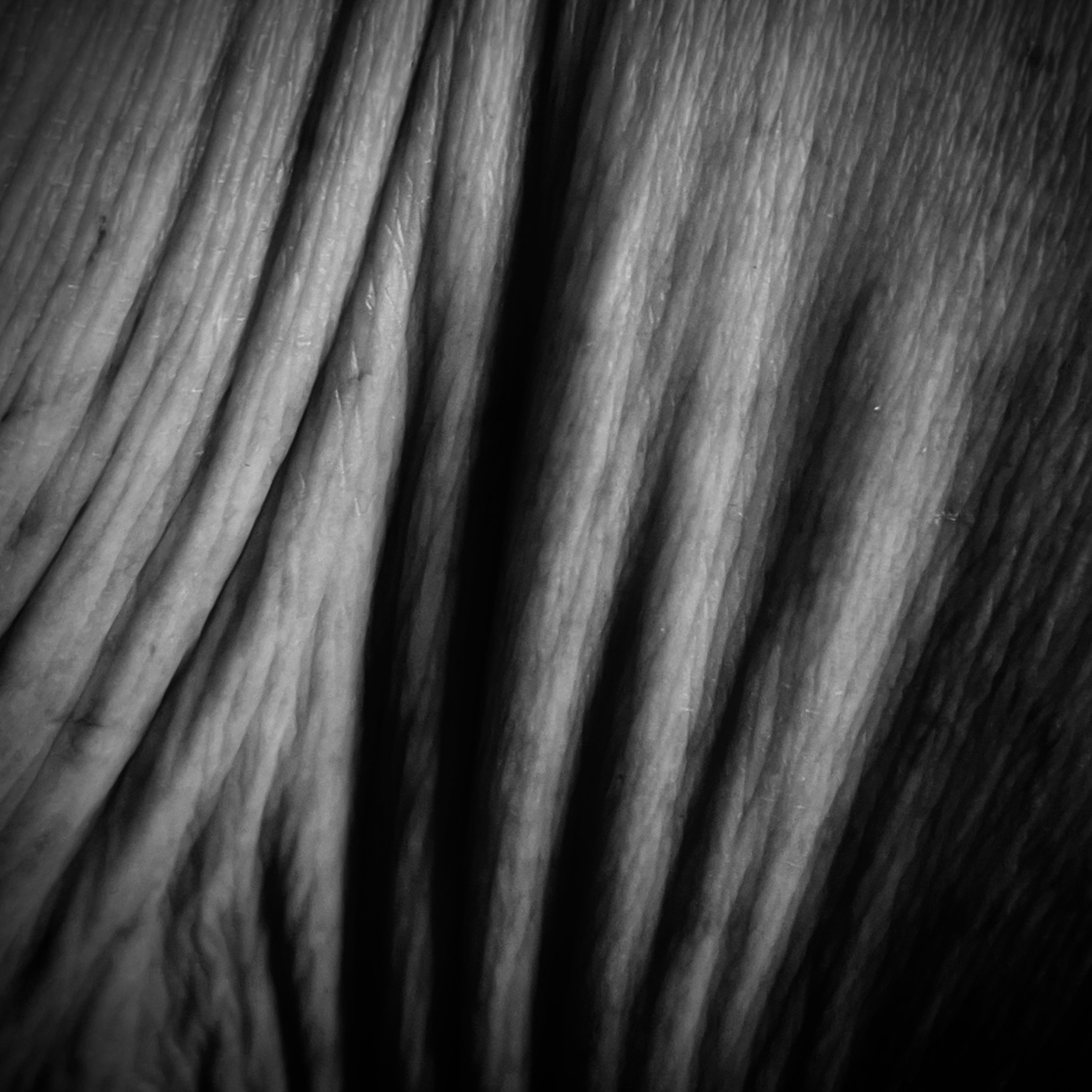 IMG_7227.jpeg