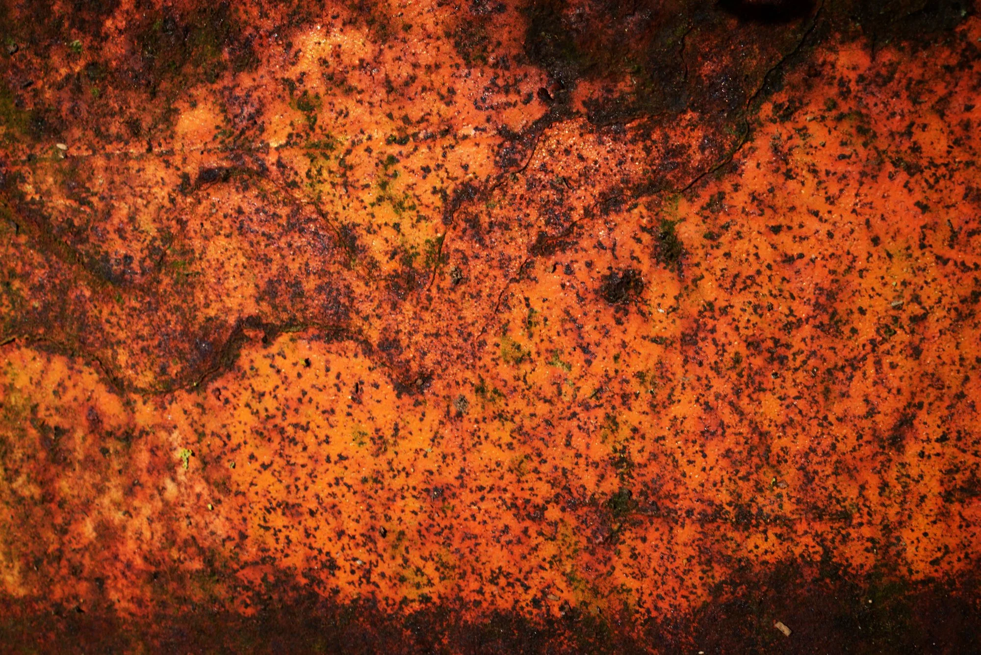 RUSTSCAPE_042.jpg