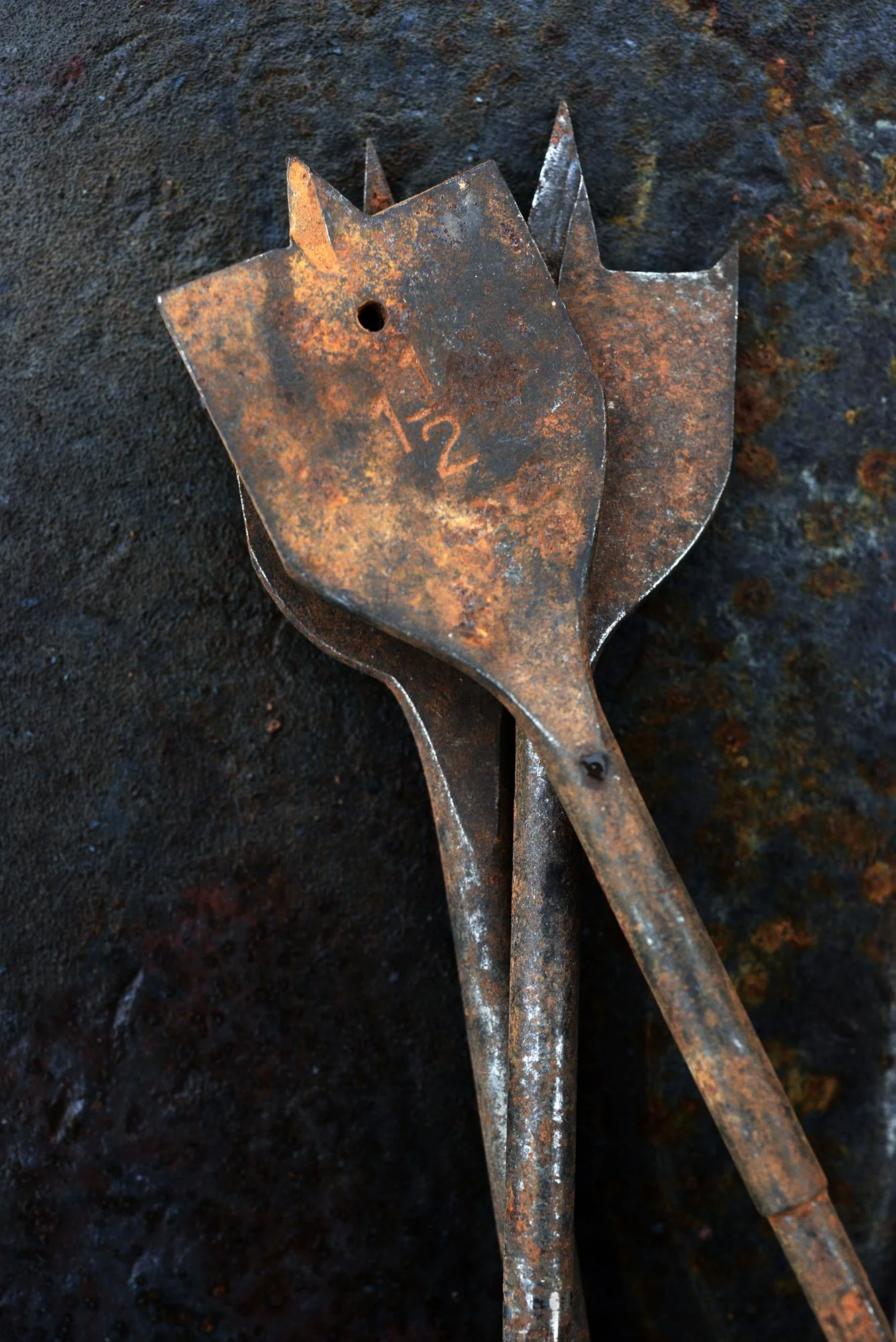 RUST_1368CM.jpg