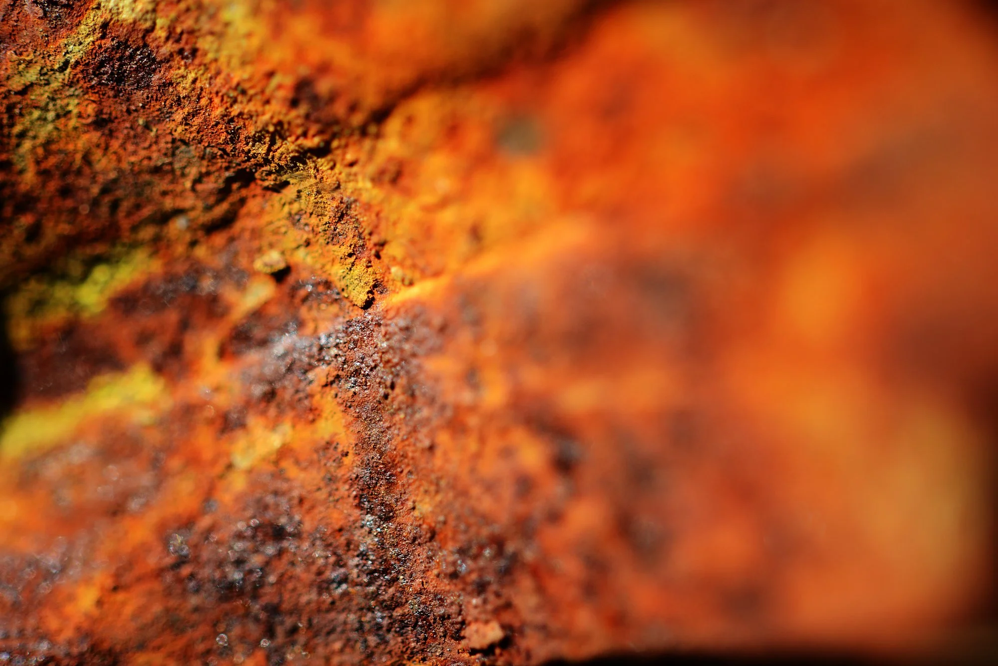 RUSTSCAPE_039.jpg