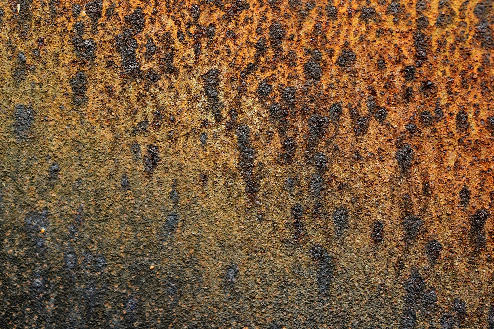 RUSTSCAPE_044.jpg