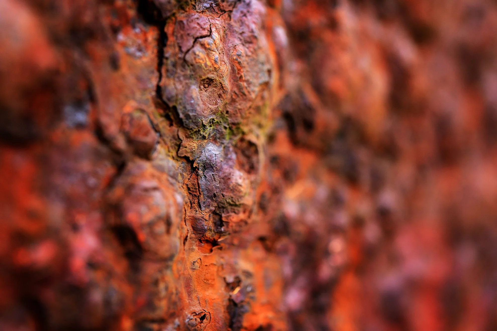 RUSTSCAPE_033.jpg