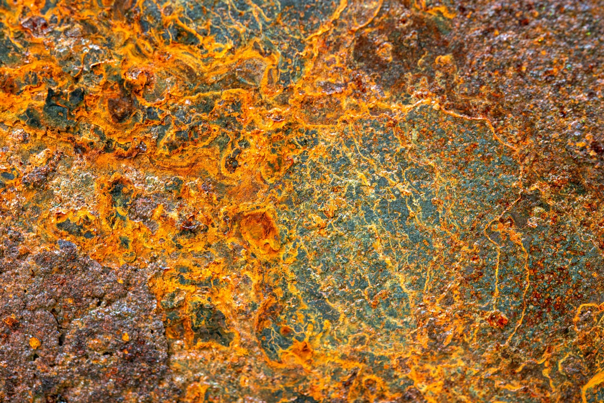 2023_0212CM.jpg