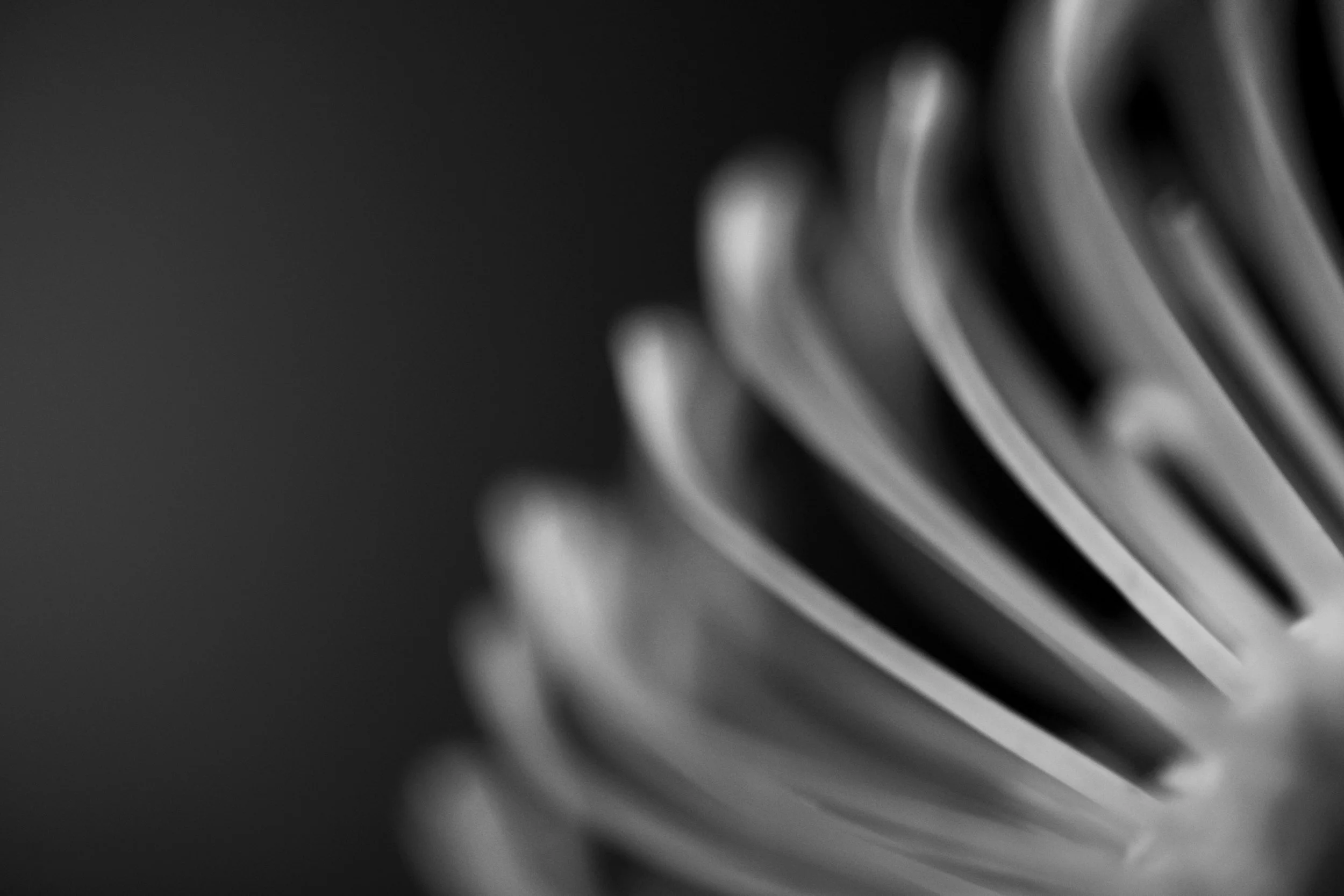 FLOWER_2874CM3.jpg