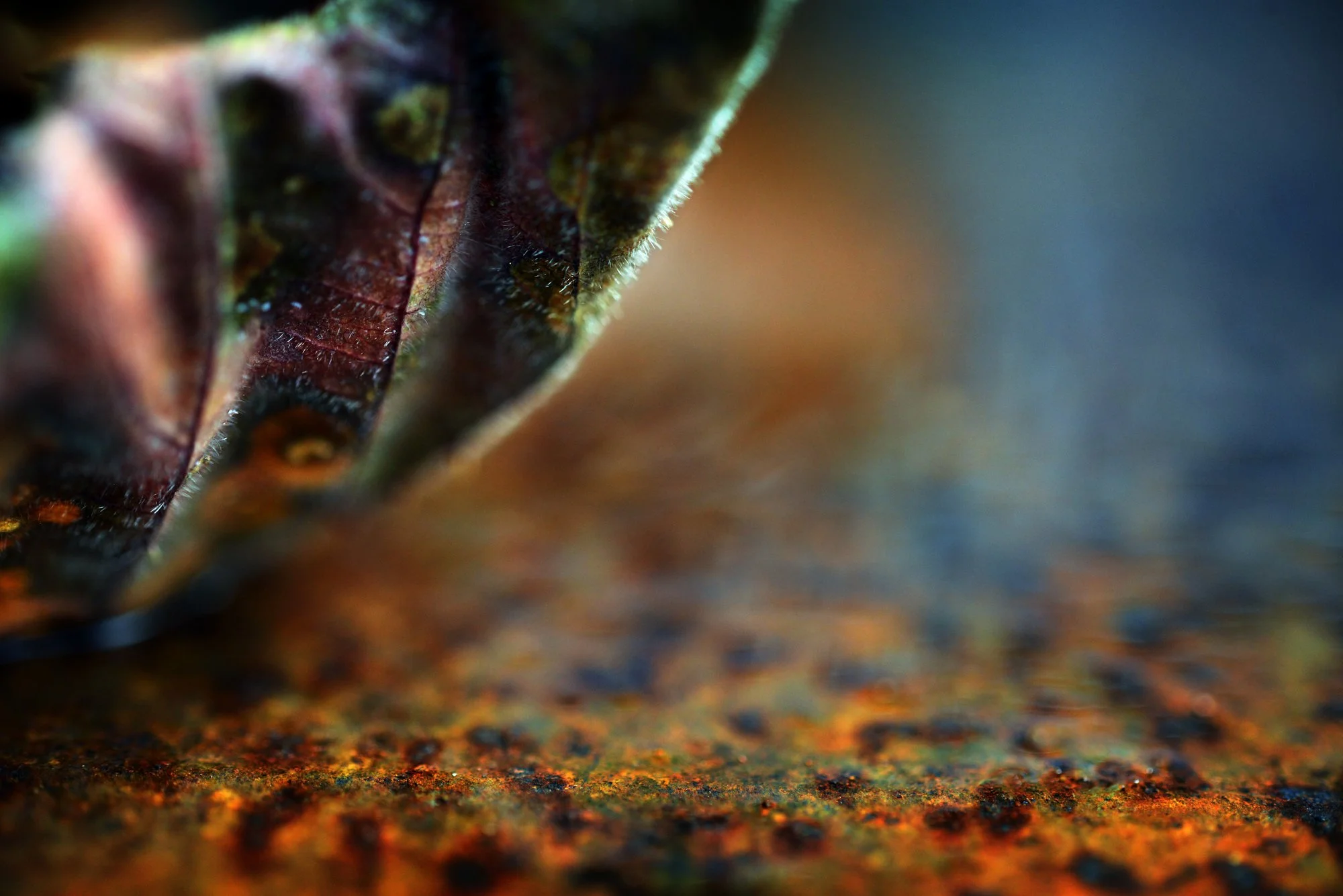 RUSTSCAPE_149.jpg
