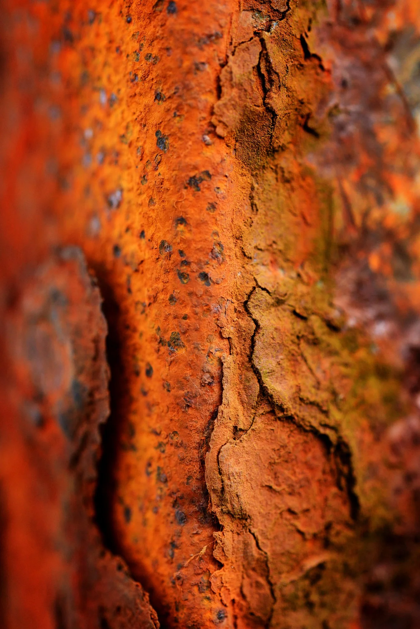 RUSTSCAPE_011.jpg