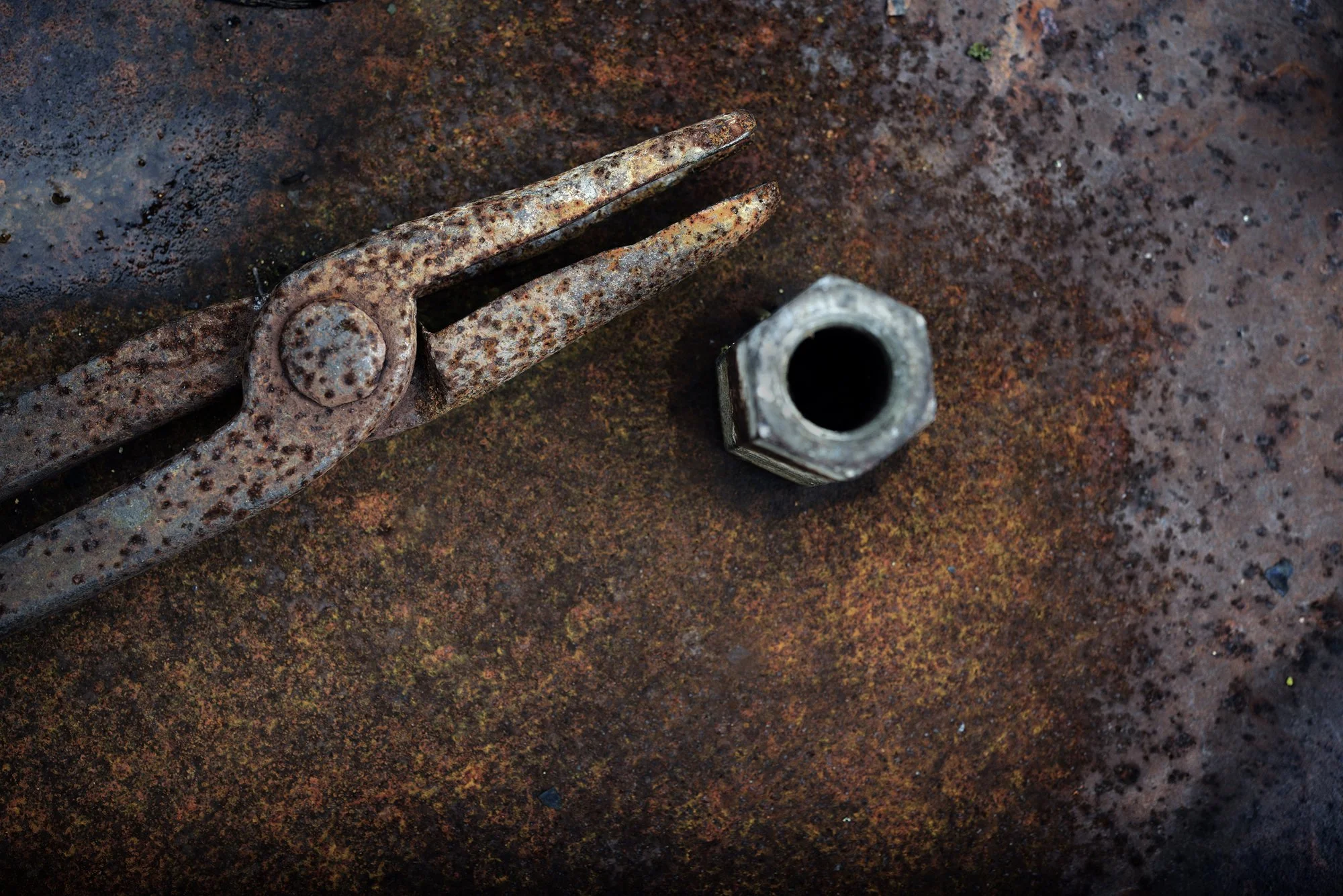 RUSTSCAPE_084.jpg