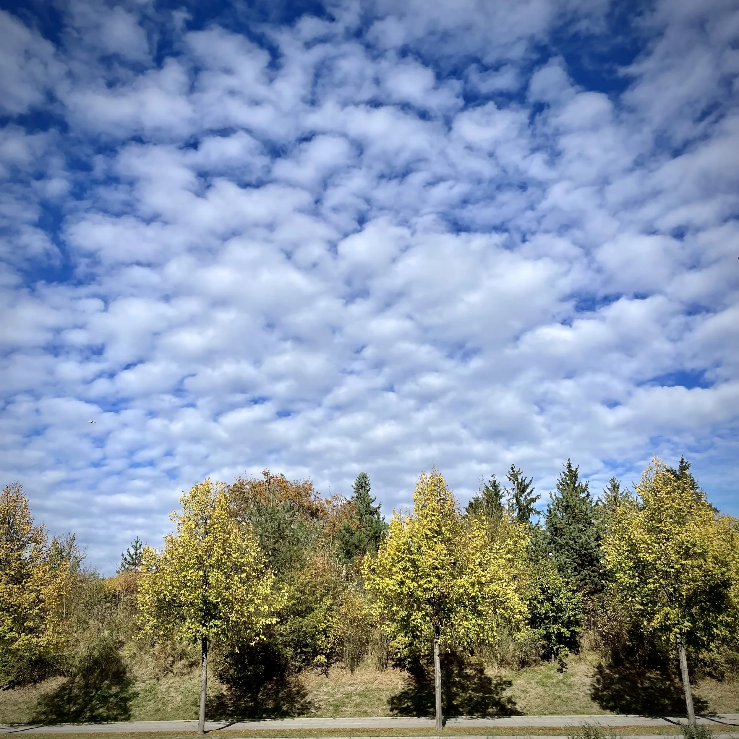 IMG_1075.jpeg