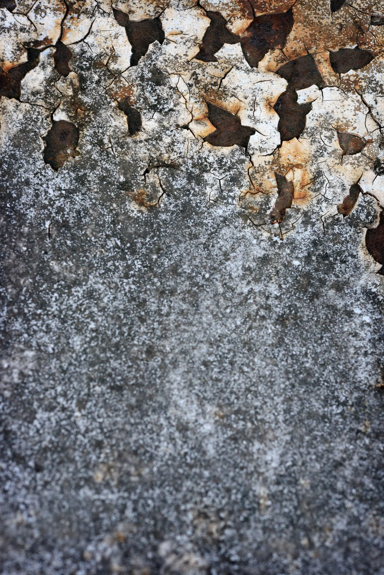 RUSTSCAPE_138.jpg