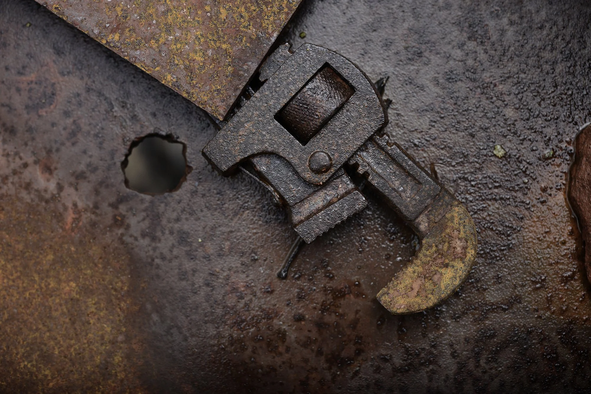 RUSTSCAPE_085.jpg