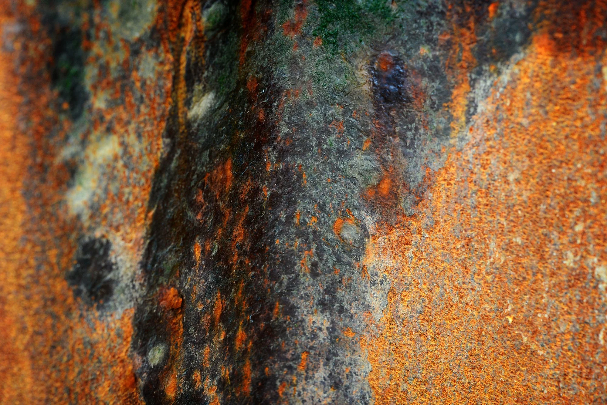 RUSTSCAPE_049.jpg