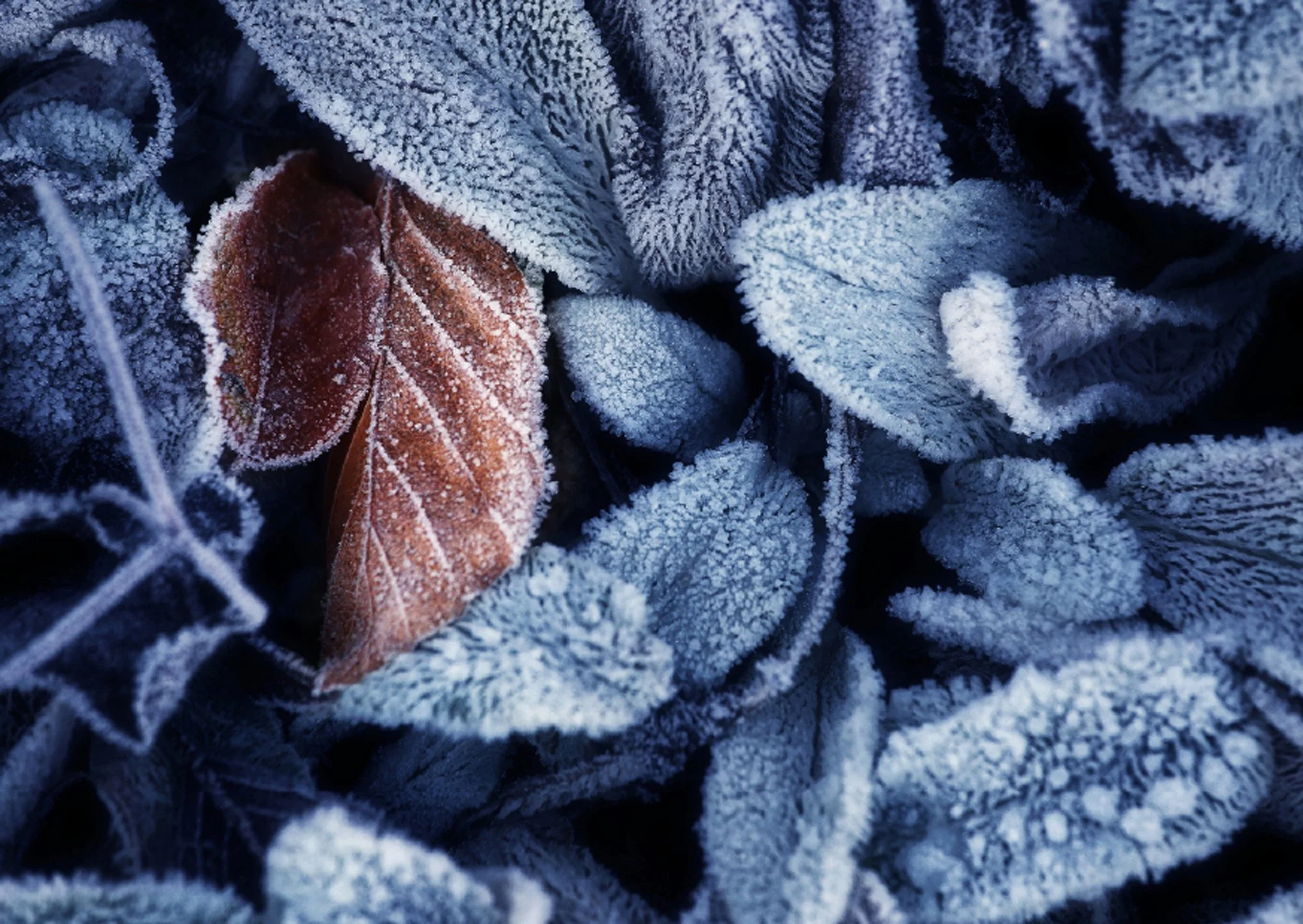 A6 landscape PL03018.jpg