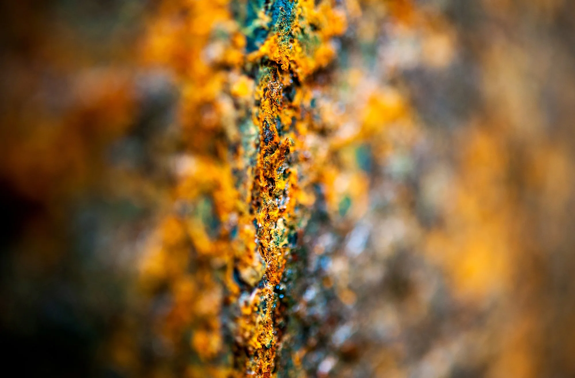 RUSTSCAPE_020.jpg