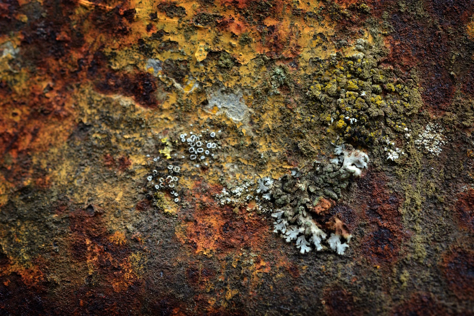 RUSTSCAPE_173.jpg