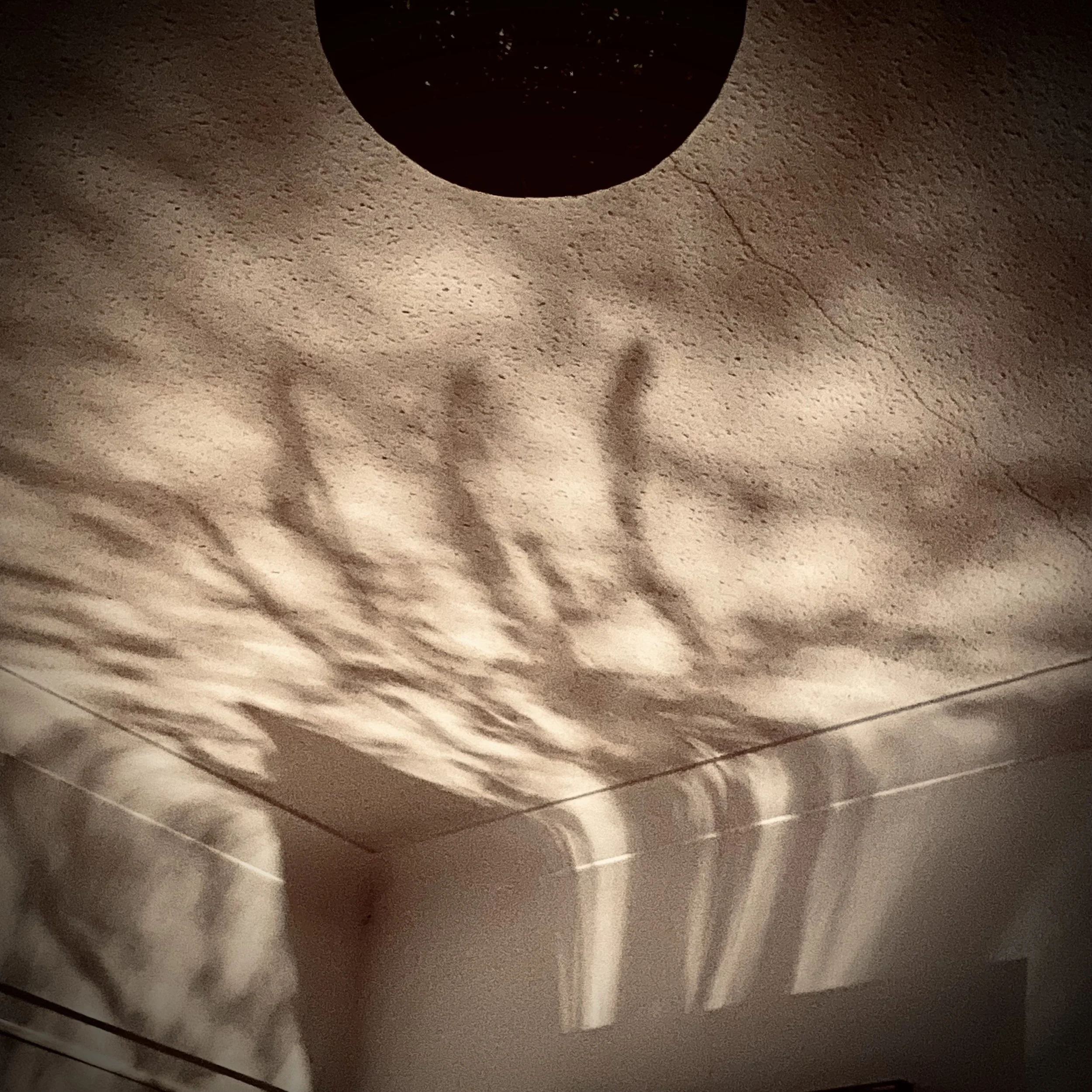 IMG_1985.jpeg