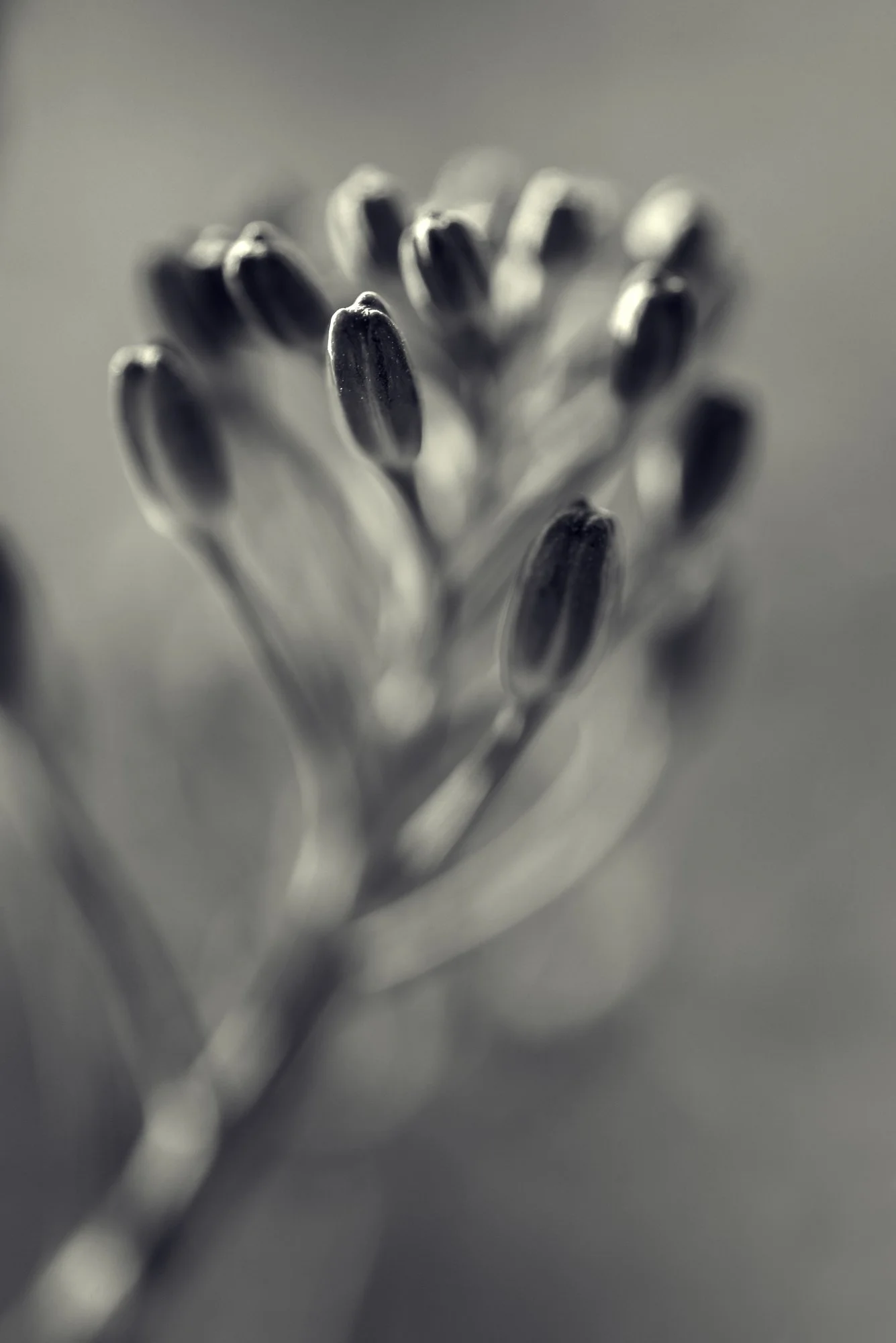 JGB_2521-Edit.jpg
