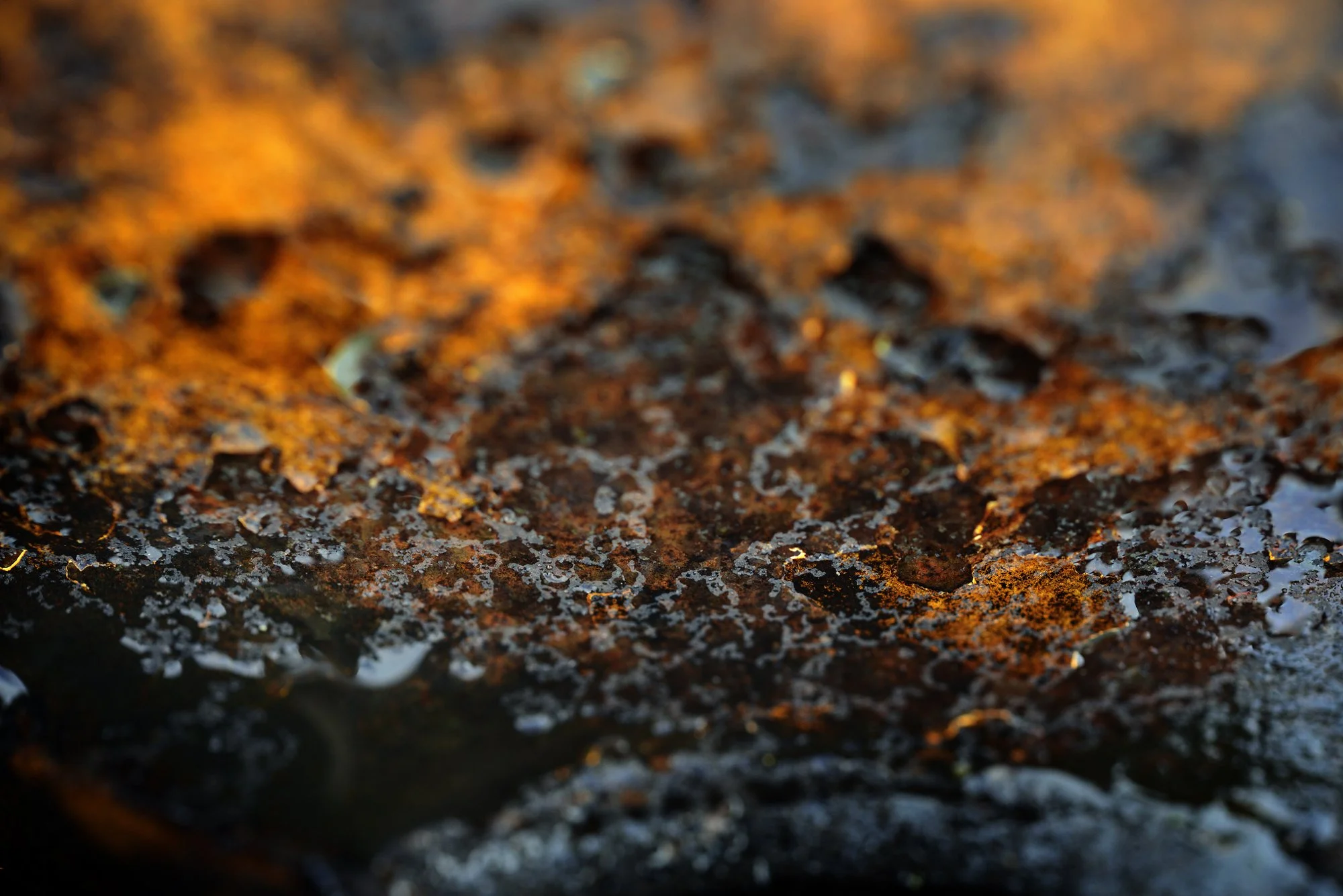 RUSTSCAPE_101.jpg