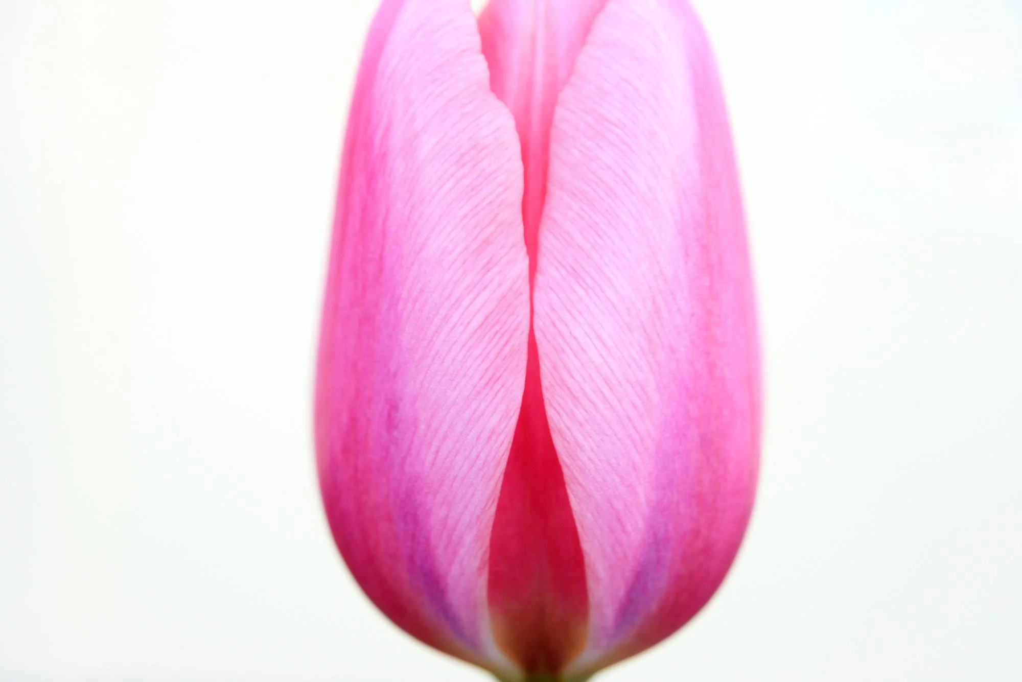 DSC_5952CM.jpg