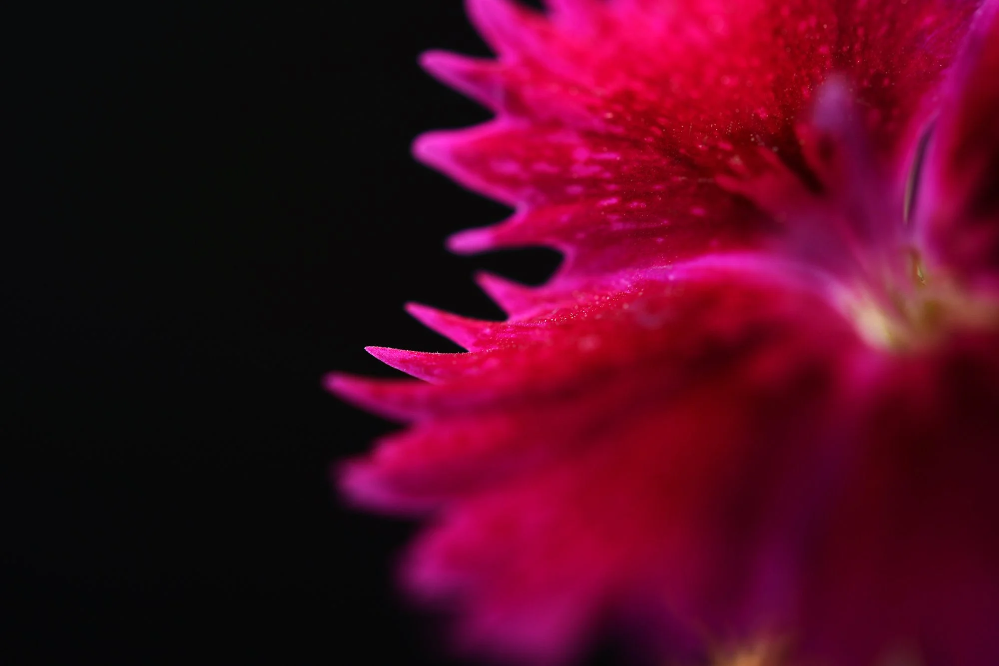 032_PLANT_3786CM.jpg