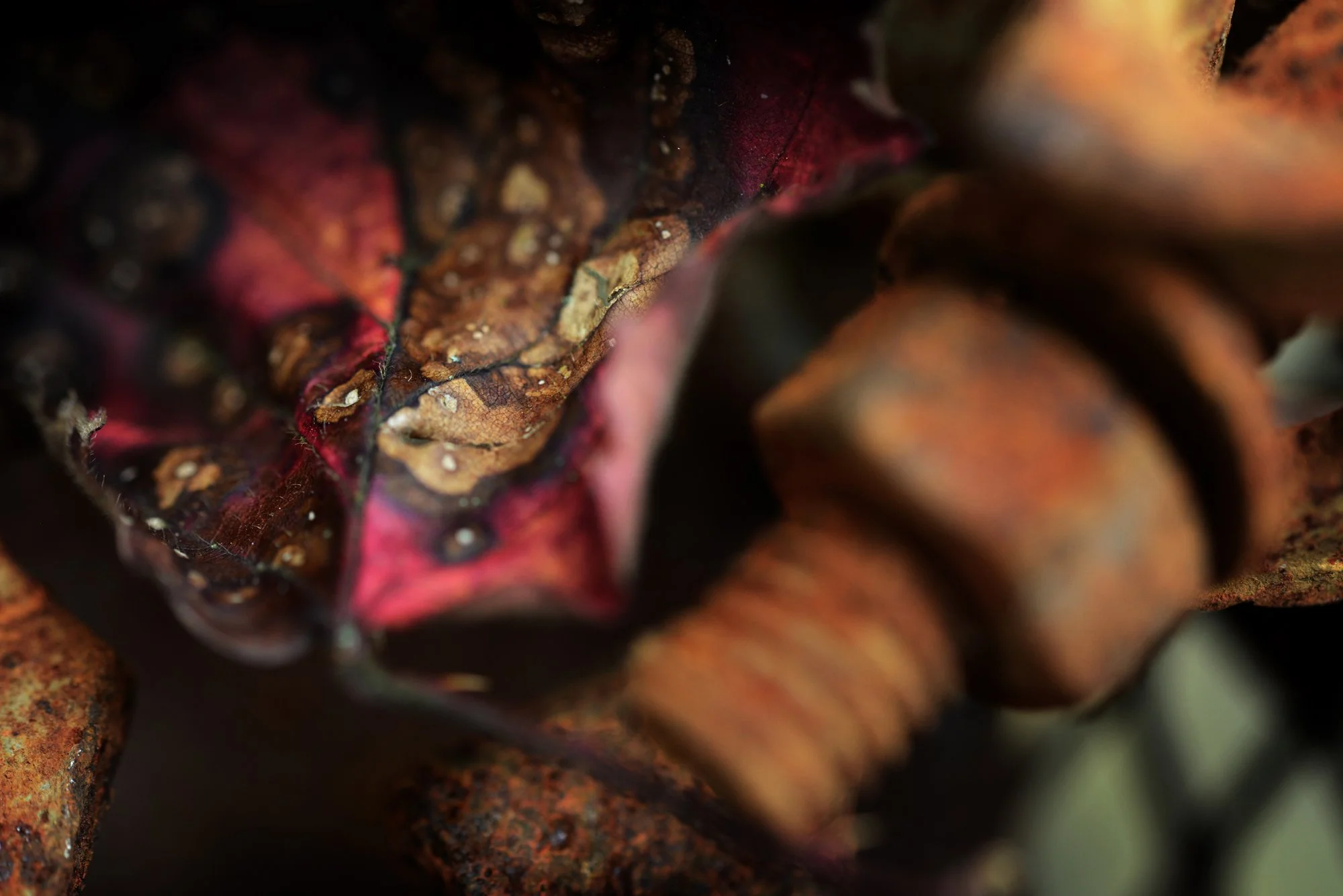 RUSTSCAPE_131.jpg