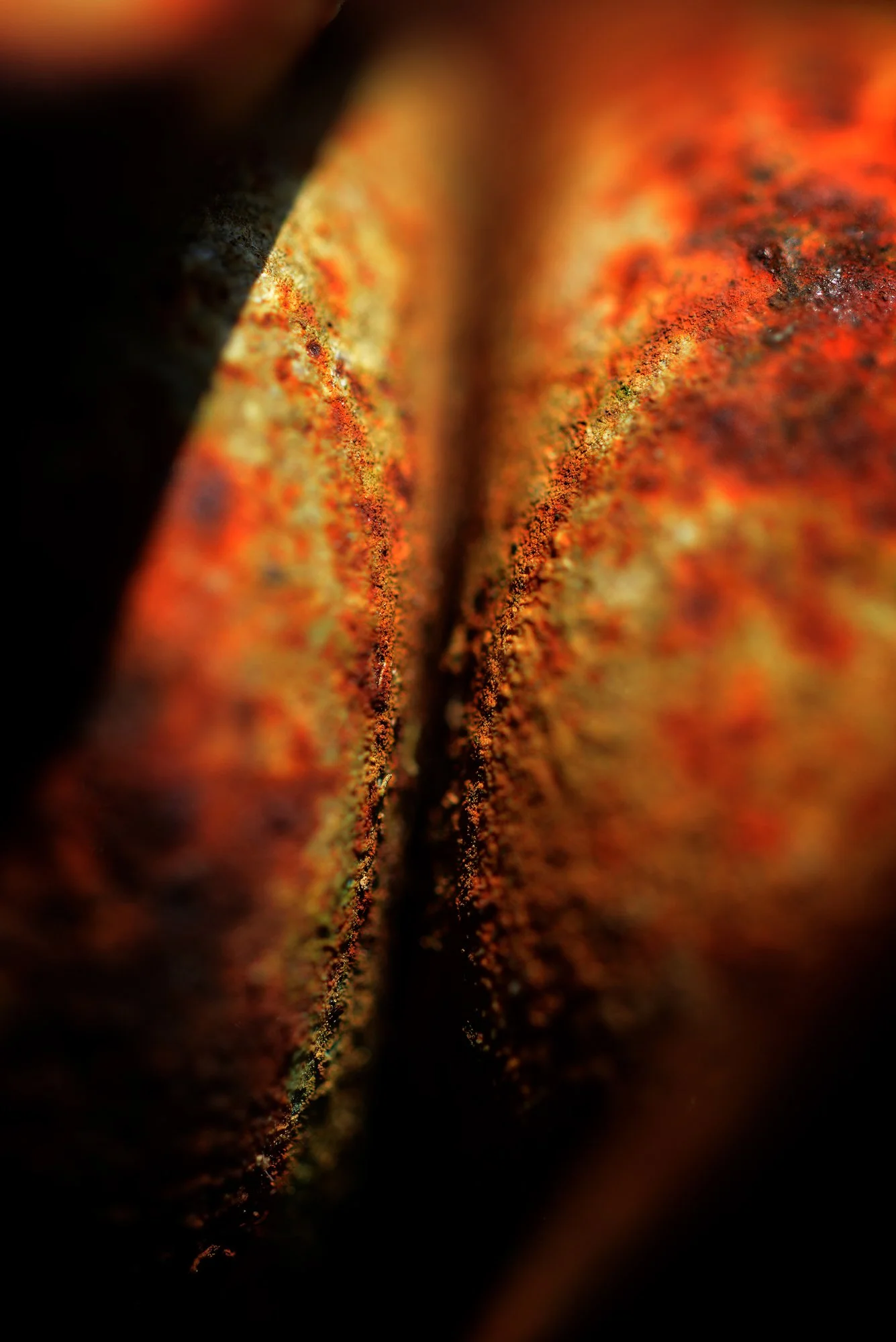 RUSTSCAPE_136.jpg