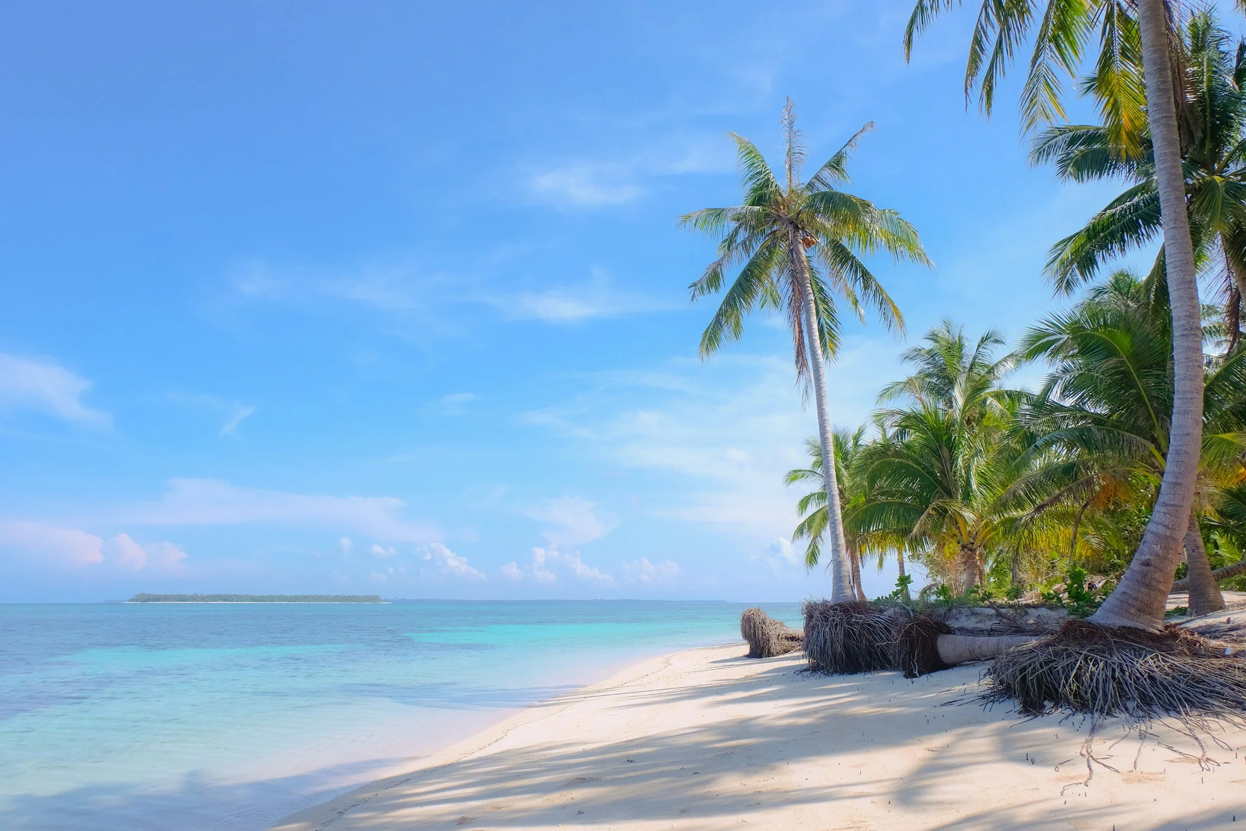 West End vs West Bay: Which area of Roatan is best for your vacation? 